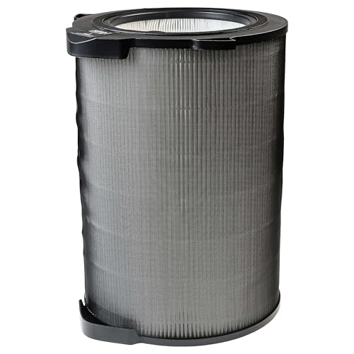 vhbw H12 Filter kompatibel mit AEG AX 91 600 CADR, AX91-604DG, AX91-604GY Luftreiniger - Ersatz-Filter von vhbw
