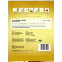 Xxl-Fleischtomate Ananas Fleischtomate Bis Zu 450 Gewicht Pro Tomate Xxl von vhorchideen