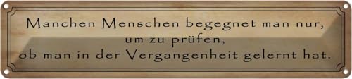 vianmo Blechschild 10x46 cm manche Menschen begegnet man nur Deko Geschenk Metall Schild von vianmo