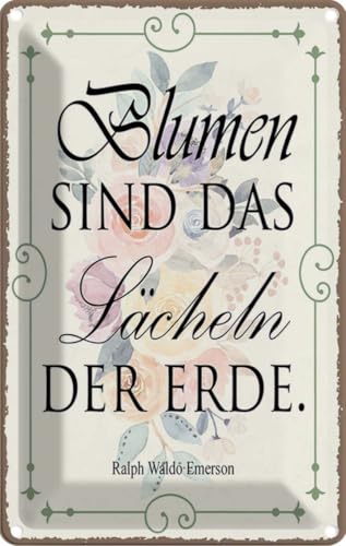 vianmo Blechschild 18x12 cm Blumen sind das Lächeln der Erde Deko Geschenk Metall Schild von vianmo