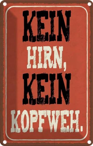 vianmo Blechschild 18x12 cm kein Hirn kein Kopfweh Deko Geschenk Metall Schild von vianmo