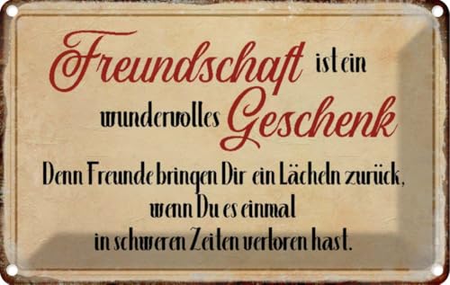 vianmo Blechschild 20x30 cm Freundschaft ist ein Deko Geschenk Metall Schild vianmo Blechschild 20x30 cm Freundschaft ist ein Deko Geschenk Metall Schild von vianmo