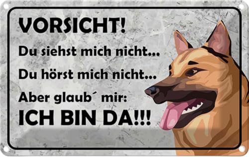 vianmo Blechschild 20x30 cm Vorsicht Hund Du siehst mich nicht Deko Geschenk Metall Schild von vianmo