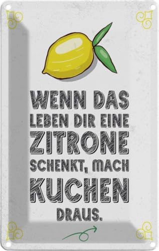vianmo Blechschild 30x20 cm Wenn das Leben dir Zitrone schenkt Deko Geschenk Metall Schild von vianmo