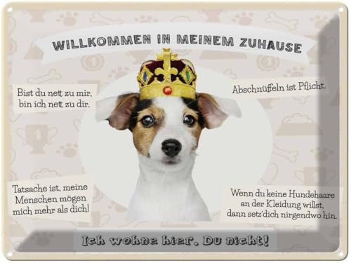 vianmo Blechschild 30x40 cm Tiere Hund willkommen wohne hier Deko Geschenk Metall Schild von vianmo