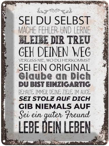 vianmo Blechschild 40x30 cm Sei du selbst mache Fehler lerne Deko Geschenk Metall Schild von vianmo