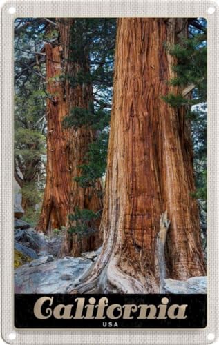 vianmo Blechschild Wandschild Metallschild 20x30 cm California Amerika Natur Wald Bäume von vianmo