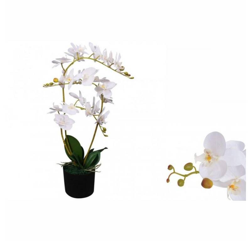 Künstliche Zimmerpflanze Künstliche Orchidee mit Topf 65 cm Weiß Pflanze realistisch echt, vidaXL, Höhe 0 cm von vidaXL