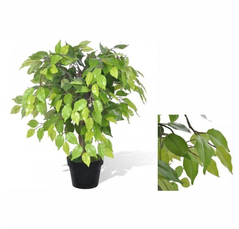 Künstliche Zimmerpflanze Künstlicher Zwerg-Ficus mit Topf 60 cm Pflanze realistisch echt, vidaXL, Höhe 0 cm von vidaXL