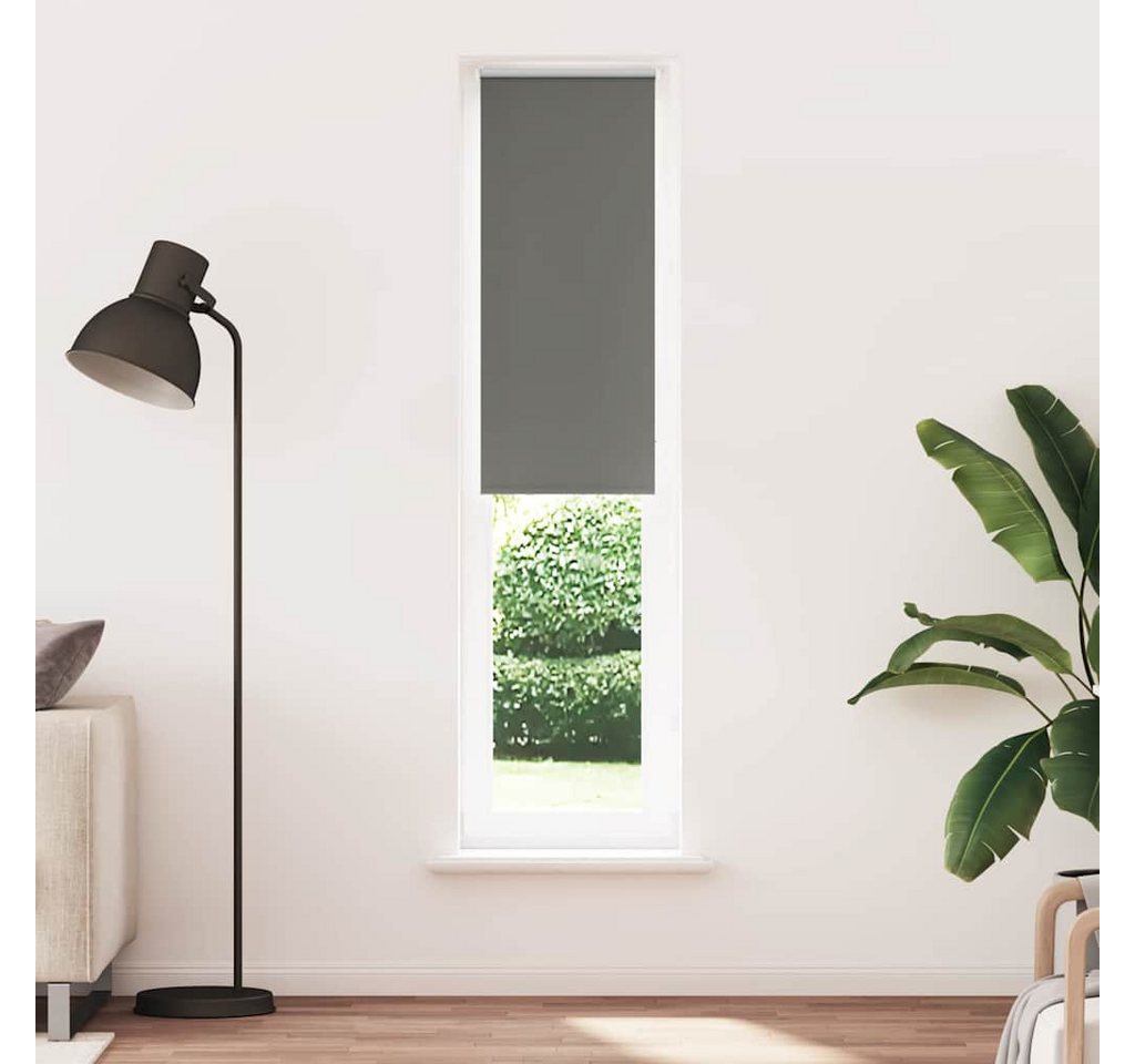 Verdunklungsrollo, vidaXL, Verdunkelungsrollo Grau 60x230 cm Stoffbreite 55,7 cm Polyester von vidaXL