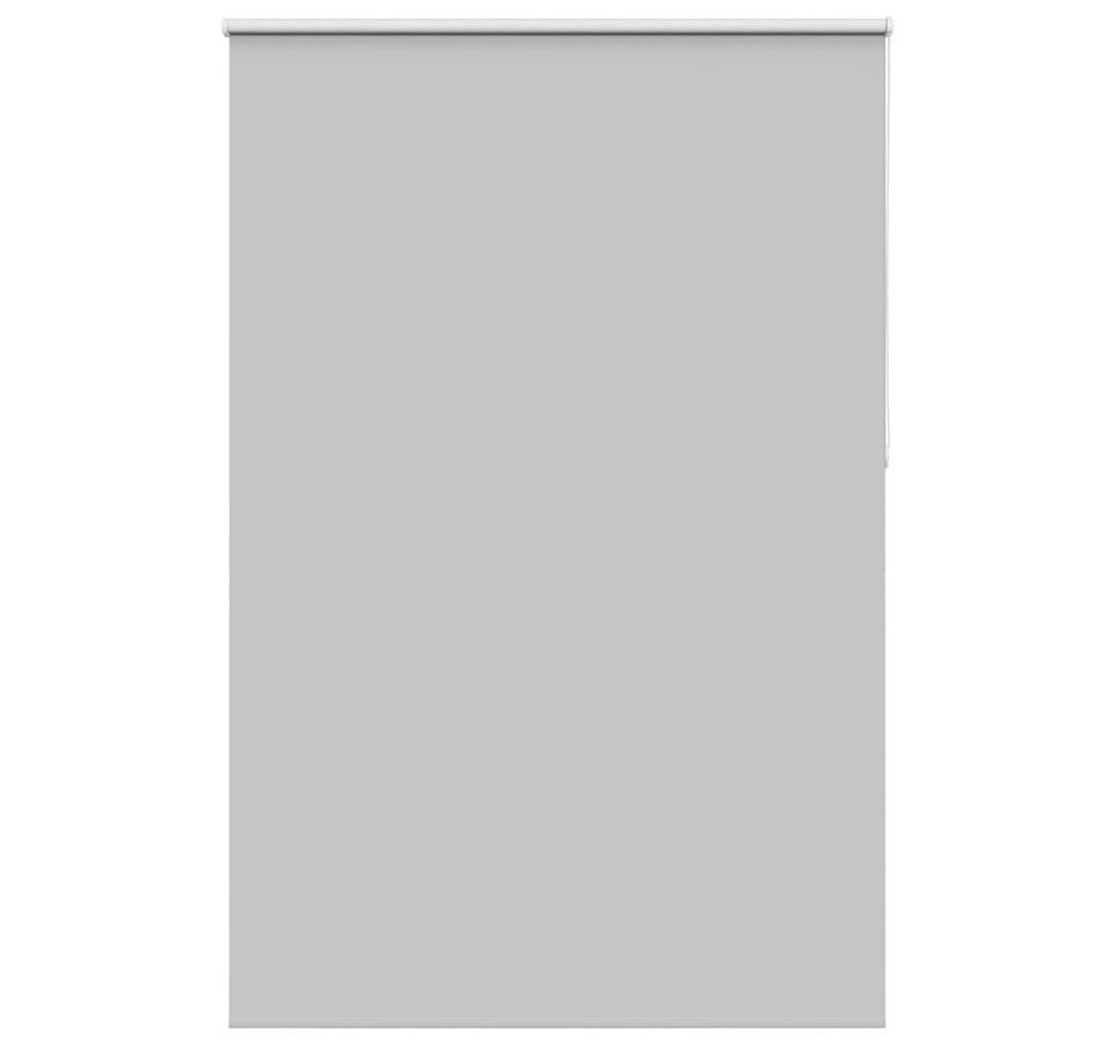 Verdunklungsrollo, vidaXL, Verdunkelungsrollo Hellgrau 165x230cm Stoffbreite 161,6cm von vidaXL