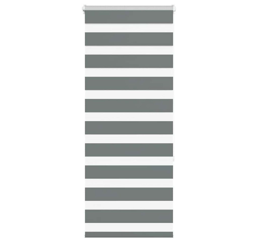 Verdunklungsrollo, vidaXL, Zebrarollo Dunkelgrau 60x150 cm Stoffbreite 55,9 cm Polyester von vidaXL