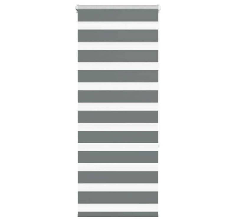 Verdunklungsrollo, vidaXL, Zebrarollo Dunkelgrau 60x150 cm Stoffbreite 55,9 cm Polyester von vidaXL