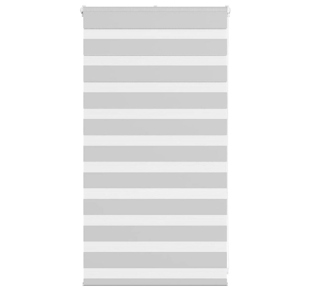 Verdunklungsrollo, vidaXL, Zebrarollo Hellgrau 90x100 cm Stoffbreite 85,9 cm Polyester von vidaXL