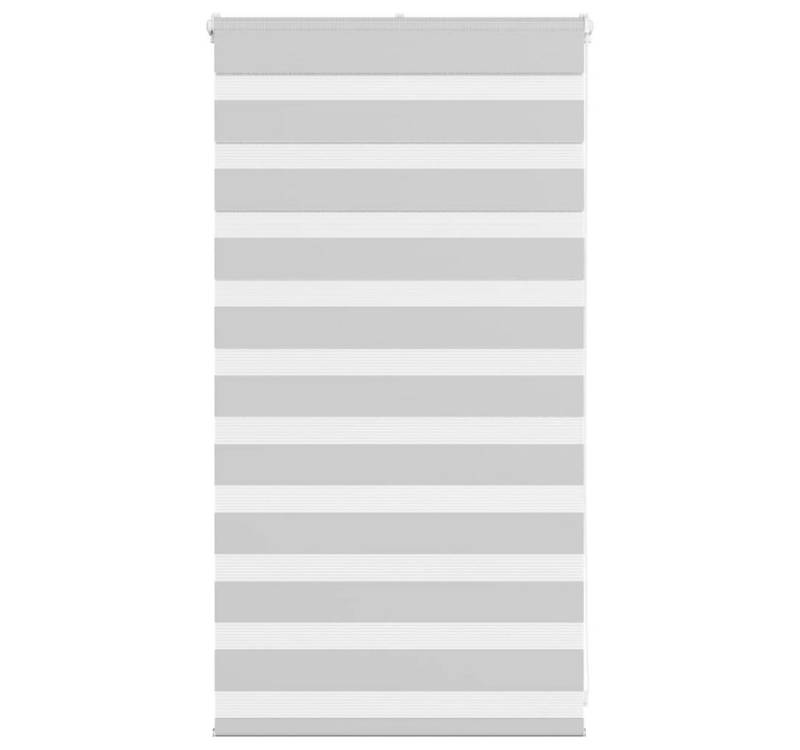Verdunklungsrollo, vidaXL, Zebrarollo Hellgrau 90x100 cm Stoffbreite 85,9 cm Polyester von vidaXL