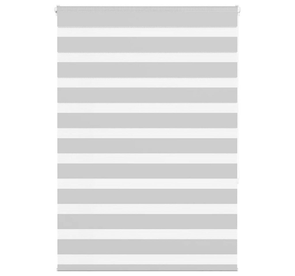 Verdunklungsrollo, vidaXL, Zebrarollo Hellgrau 95x150 cm Stoffbreite 90,9 cm Polyester von vidaXL