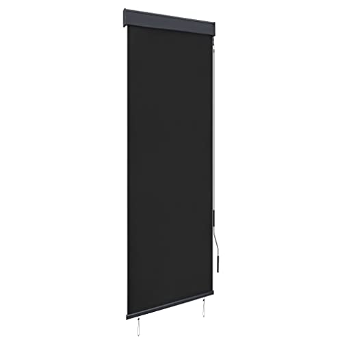 vidaXL Außenrollo Handkurbelmechanismus Balkonrollo Senkrechtmarkise Sichtschutz Beschattung Sonnenschutz Außen Rollo Balkon 60x250cm Anthrazit von vidaXL