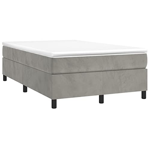 vidaXL Boxspringbett, Bettgestell mit Lattenrost, Bett Polsterbett mit Stützbeinen, Doppelbett Schlafzimmerbett, Hellgrau 120x200cm Samt von vidaXL