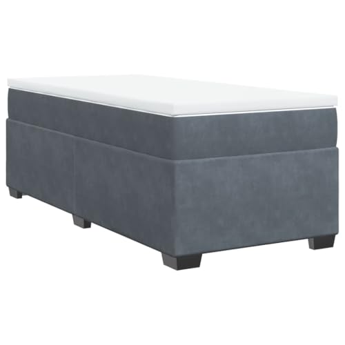 vidaXL Boxspringbett, Polsterbett Bett mit Matratze Matratzenauflage, Bettgestell mit Lattenrost, Einzelbett für Schlafzimmer, Dunkelgrau 100x200cm Samt von vidaXL