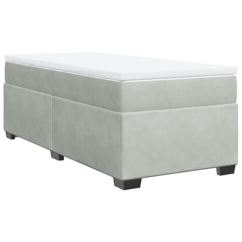 vidaXL Boxspringbett, Polsterbett Bett mit Matratze Matratzenauflage, Bettgestell mit Lattenrost, Einzelbett für Schlafzimmer, Hellgrau 100x200cm Samt von vidaXL