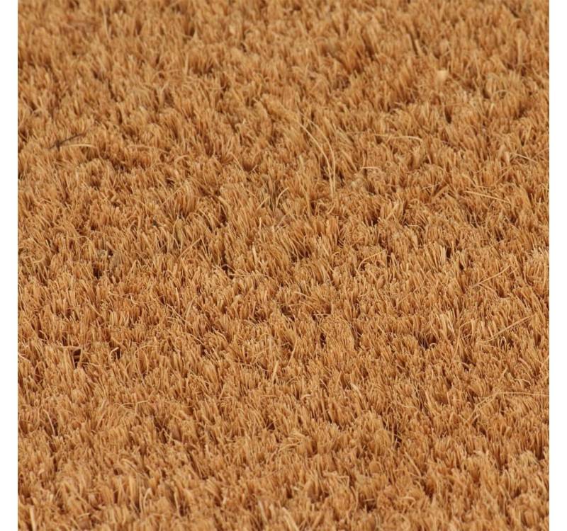 vidaXL Fußmatte, Türmatte Natur 50x80 cm Kokosfaser Getuftet von vidaXL