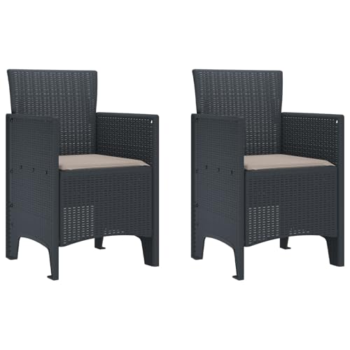 vidaXL Gartenstühle mit Kissen (2 Stück) in Anthrazit aus Poly Rattan. Leichte, UV-beständige und Bequeme Outdoor-Sitzmöbel. Langlebiges, modernes Design für Deine Terrasse oder den Patio. von vidaXL