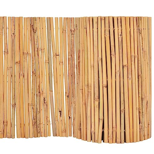 vidaXL Gartenzaun Beetumrandung Beeteinfassung Rasenkante Mähkante Bambuszaun Dekozaun Rasenbegrenzung Garten Bambus 500x30cm Natur vidaXL Gartenzaun Beetumrandung Beeteinfassung Rasenkante Mähkante Bambuszaun Dekozaun Rasenbegrenzung Garten Bambus 500x30cm Natur von vidaXL