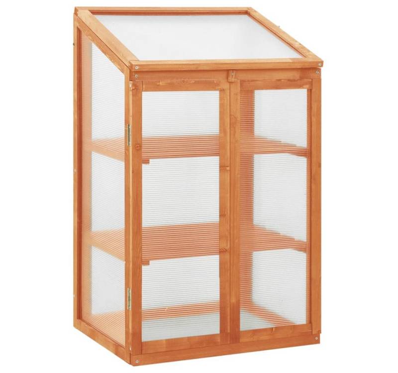 vidaXL Gewächshaus Gewächshaus 60x45x100 cm Tannenholz von vidaXL
