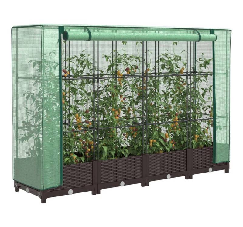 vidaXL Gewächshaus Hochbeet mit Gewächshaus-Aufsatz Rattan-Optik 160x40x123 cm von vidaXL