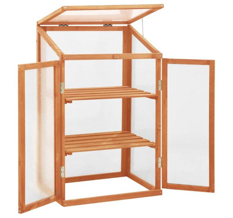 vidaXL Gewächshaus, Treibhaus 60x45x100 cm Tannenholz von vidaXL