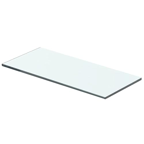 vidaXL Glasboden Glasscheibe Glasplatte für Glasregal Transparent 40 cm x 12 cm von vidaXL