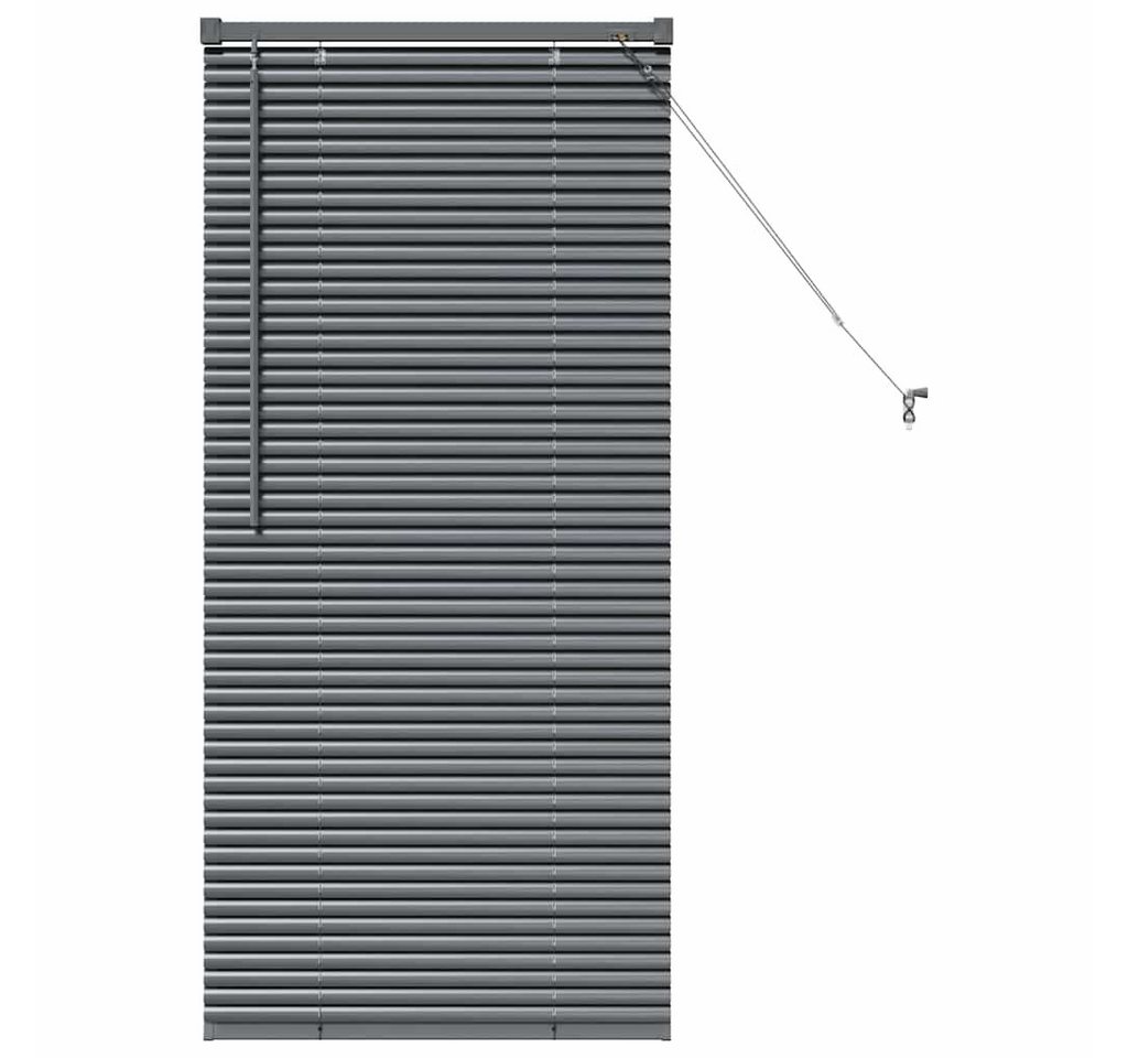 vidaXL Jalousie Fenster Jalousie mit Vorhängen Sonstiges Dunkelgrau 60 x 130 cm Alumin vidaXL Jalousie Fenster Jalousie mit Vorhängen Sonstiges Dunkelgrau 60 x 130 cm Alumin von vidaXL