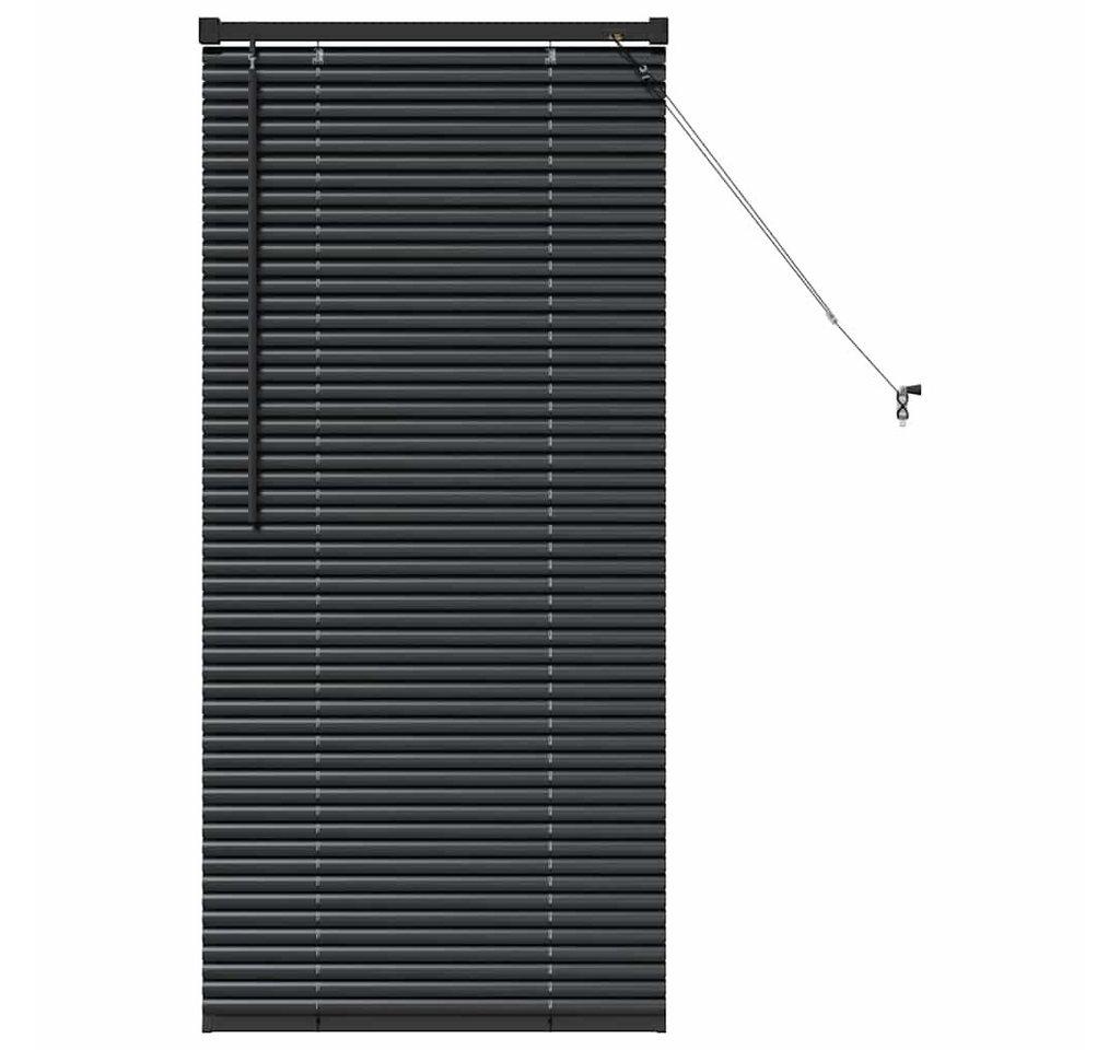 vidaXL Jalousie Fenster Jalousie mit Vorhängen Sonstiges Schwarz 60 x 130 cm Aluminium von vidaXL