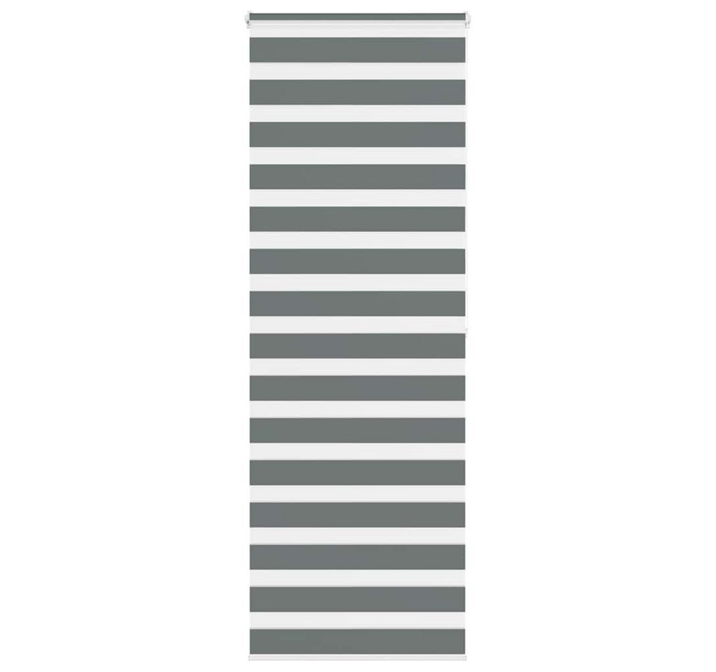 vidaXL Jalousie Zebrarollo Dunkelgrau 85x200 cm Stoffbreite 80,9 cm Polyester von vidaXL