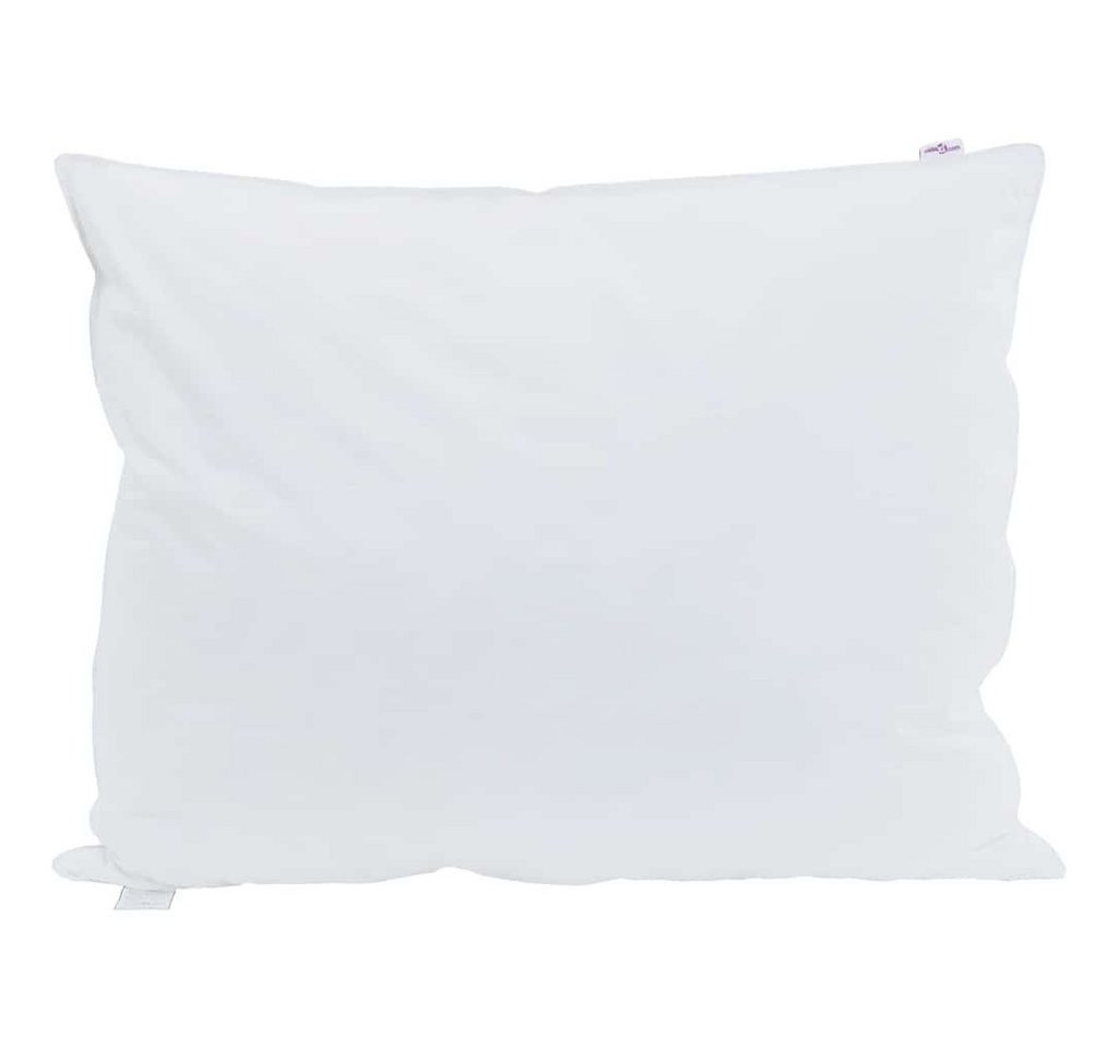 vidaXL Kopfkissen Kopfkissen mit Kissen 2 pcs Weiß 30 x 50 cm Feder, Bezug: Baumwolle von vidaXL