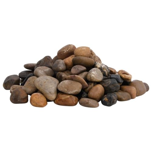 vidaXL Polierte Kiesel, Kieselsteine mit guter Drainage, Flusskiesel Zierkies für Aquarium Garten Dekoration, Dekosteine Gartenkies Glanzkies, Mehrfarbig 10 kg 2-5cm von vidaXL