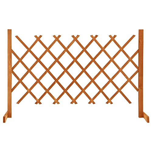 vidaXL Tannenholz Massiv Garten Rankzaun Erweiterbar Rankgitter Rankhilfe Spalier Pflanzengitter Blumengitter Holzgitter Orange 120x90cm von vidaXL