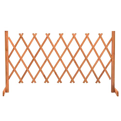 vidaXL Tannenholz Massiv Garten Rankzaun Erweiterbar Rankgitter Rankhilfe Spalier Pflanzengitter Blumengitter Holzgitter Orange 150x80cm von vidaXL