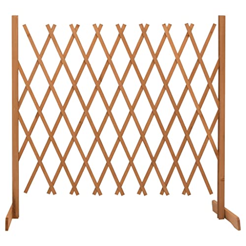 vidaXL Tannenholz Massiv Garten Rankzaun Erweiterbar Rankgitter Rankhilfe Spalier Pflanzengitter Blumengitter Holzgitter Orange 180x100cm von vidaXL