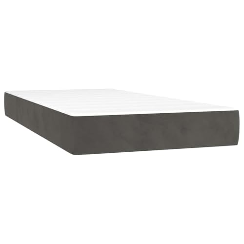 vidaXL Taschenfederkernmatratze, Federkernmatratze Komfortabler Schaumstoff, Matratze Mittelharte Unterstützung, Dunkelgrau 100x220x20cm Samt von vidaXL