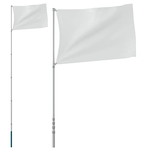 vidaXL Teleskop Fahnenmast, Mast für Nationalflagge, Flaggenmast für Garten Partys Sportveranstaltungen, Fahnenstange Fahnenstange, Silbern Aluminium von vidaXL