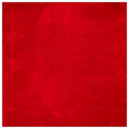vidaXL Teppich Kurzflor Weich Flauschig Waschbar, Teppich für Wohnzimmer Schlafzimmer, Modern Einfarbige Muster rutschfeste Unterseite, Rot 160x160cm von vidaXL
