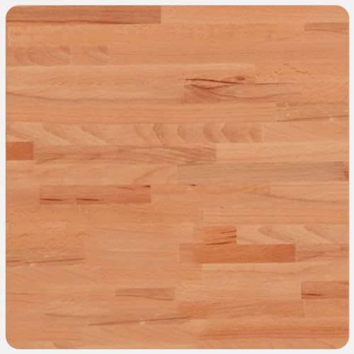 vidaXL Tischplatte, Quadratisch Holzplatte mit 4 abgerundeten Ecken, Holztischplatte Ersatzplatte für Couchtisch, Massivholztischplatte Platte, 50x50x1,5 cm Massivholz Buche von vidaXL