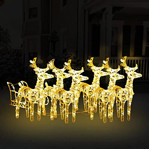 vidaXL Weihnachtsdekoration Rentiere mit Schlitten Beleuchtet Dekofigur Weihnachtsdeko Figur Weihnachten Beleuchtung 320 LEDs Acryl von vidaXL