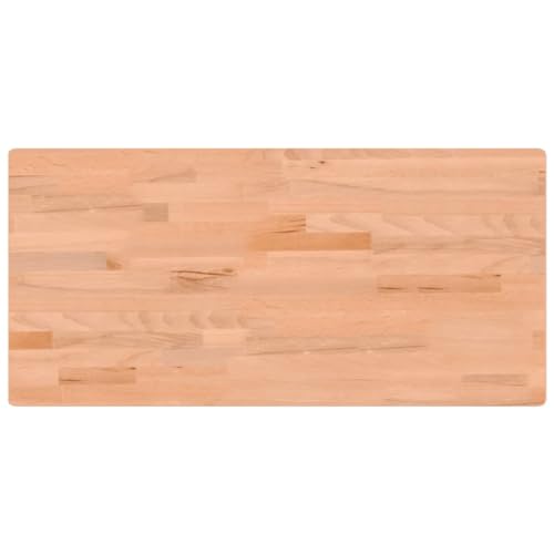 vidaXL Werkbankplatte, Arbeitsplatte Tischplatte Rechteckig, Holzplatte Platte für Flurbank Werkbank, Multiplexplatte Schreibtischplatte, 115x55x2,5 cm Massivholz Buche von vidaXL