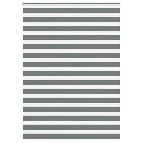 vidaXL Zebrarollo Dunkelgrau 160x200 cm Stoffbreite 155,9 cm Polyester, Zebra-Rollo, Doppelrollo, Zebra-Jalousie für Fenster, Doppelrollo, Zebra-Rollo von vidaXL