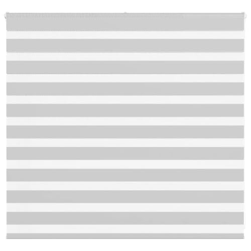 vidaXL Zebrarollo Hellgrau 160x100 cm Stoffbreite 155,9 cm Polyester, Zebra-Rollo, Doppelrollo, Zebra-Jalousie für Fenster, Doppelrollo, Zebra-Rollo von vidaXL