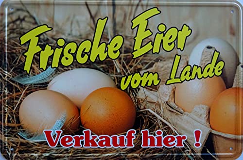 Blechschild Schild 20x30cm - Frische Eier vom Lande Verkauf hier Huhn Hahn Bauenhof Hofladen Bio von vielesguenstig-2013