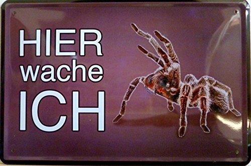 vielesguenstig-2013 Blechschild Schild gewölbt - Spinne Vogelspinne Haustier von vielesguenstig-2013