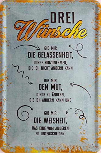 vielesguenstig-2013 Blechschild Schild 20x30cm - 3 Wünsche Gelassenheit Mut Weisheit von vielesguenstig-2013